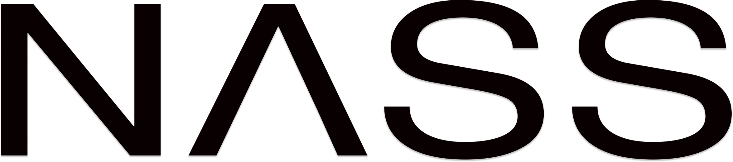 NΛSS logo