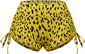 NASS Shorts
